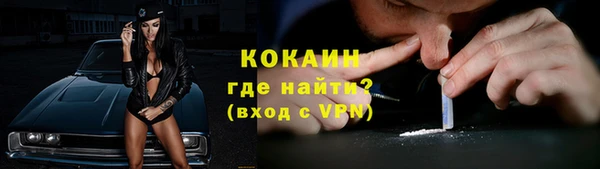 шишки Рославль