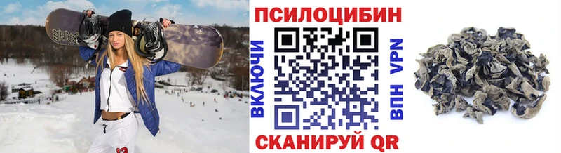 Галлюциногенные грибы Psilocybe  Куса 
